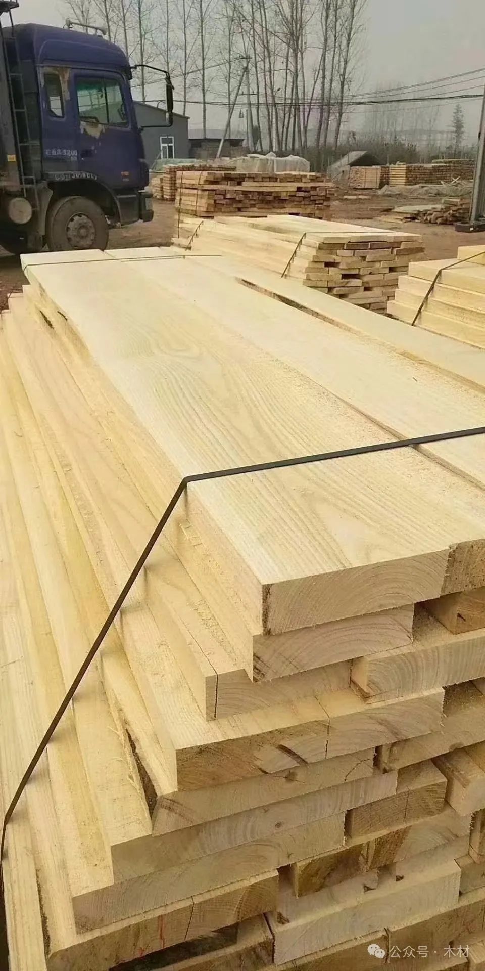 白椿木(国产白蜡木)属于什么档次的木材批发 图片