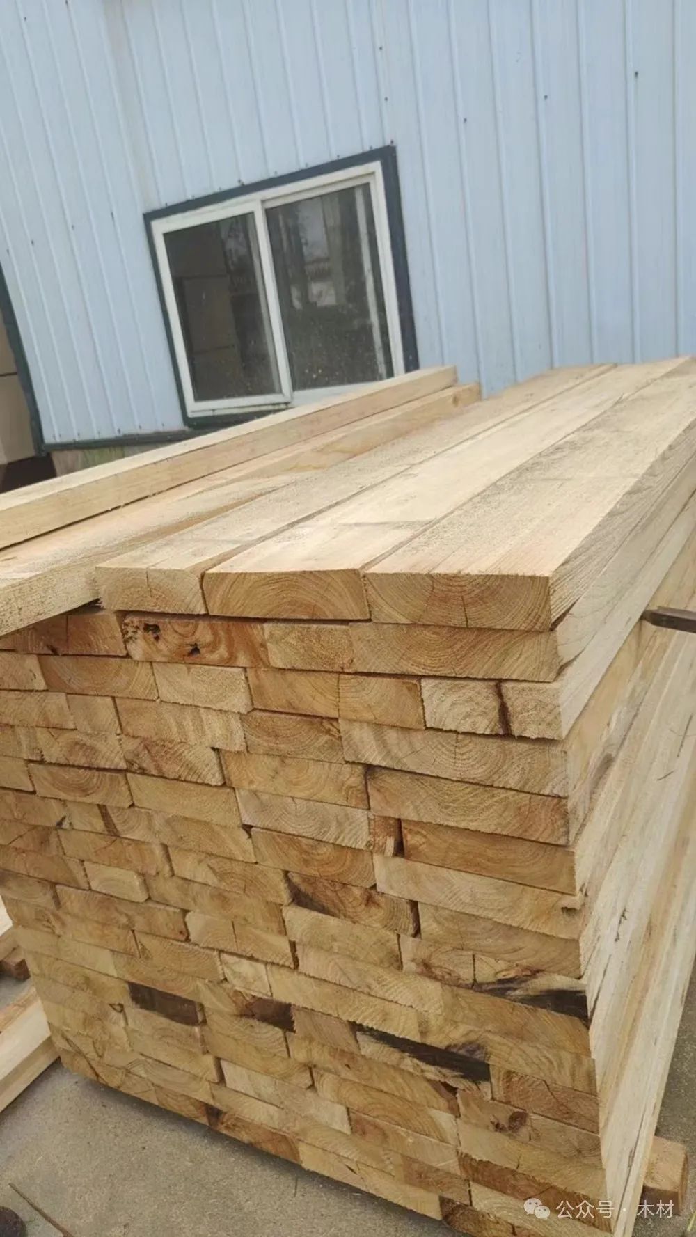 白椿木(国产白蜡木)属于什么档次的木材价格 图片